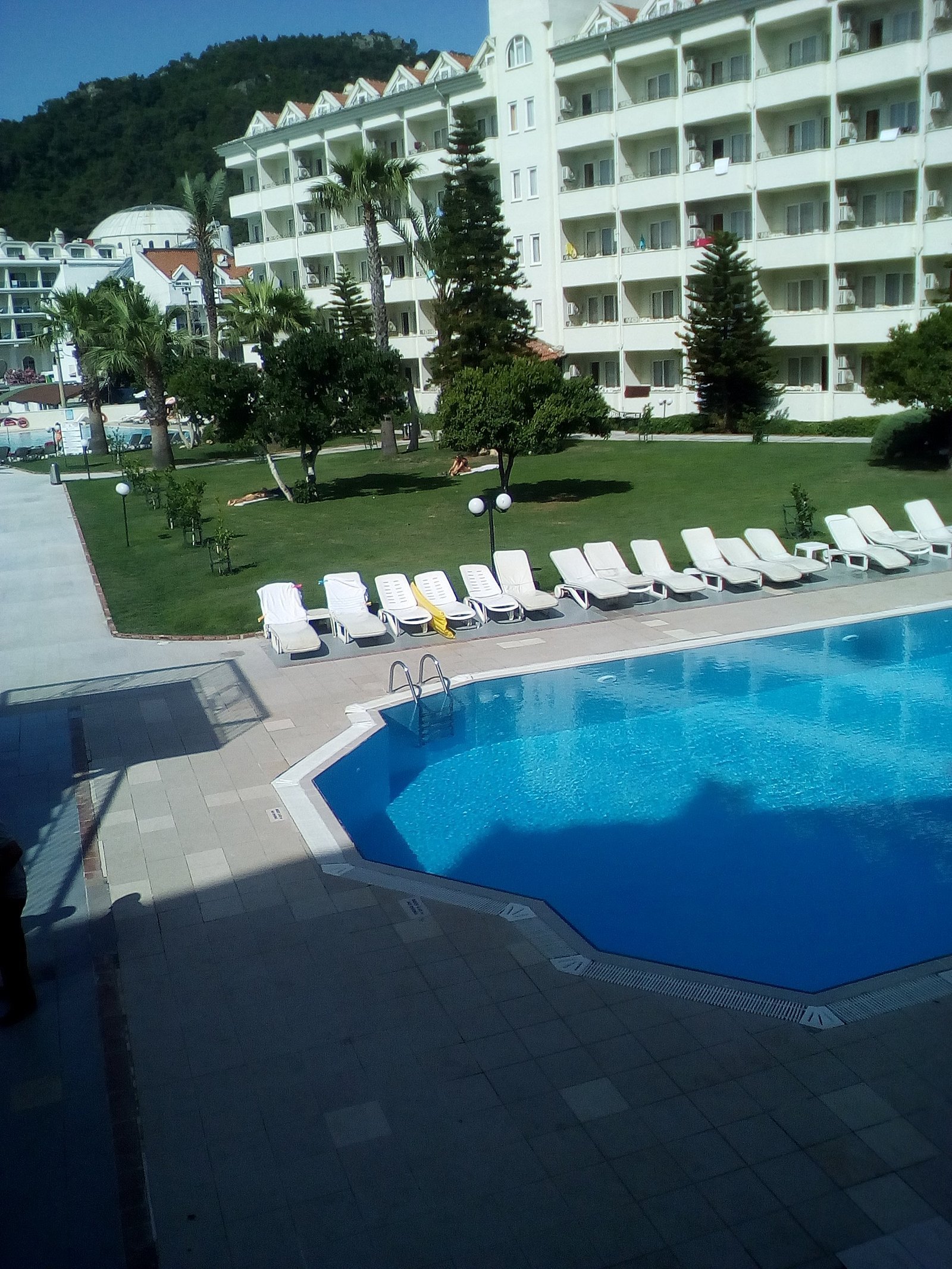 Pineta Club Hotel photo 4
