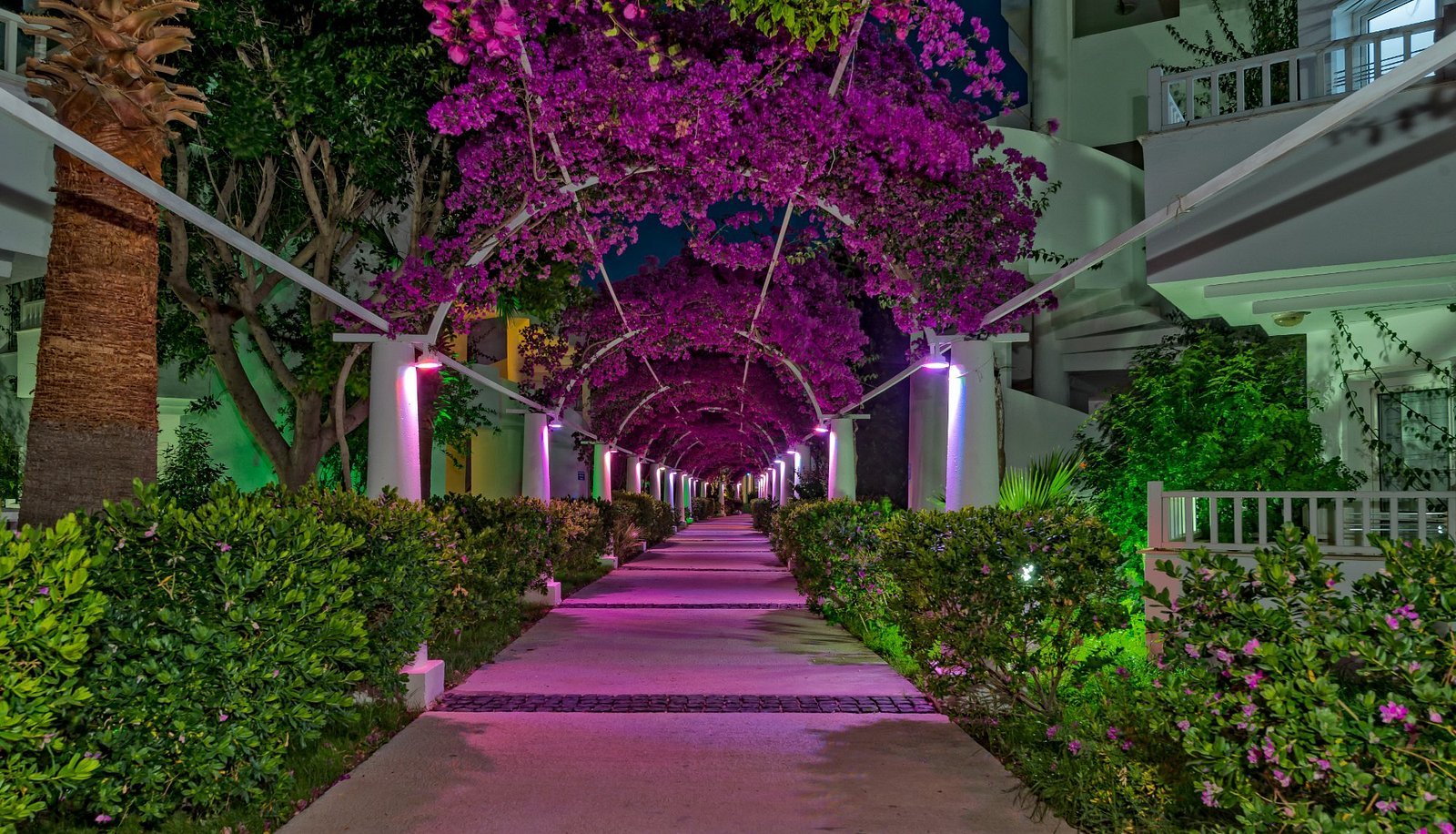 Bendis Beach Hotel photo 2