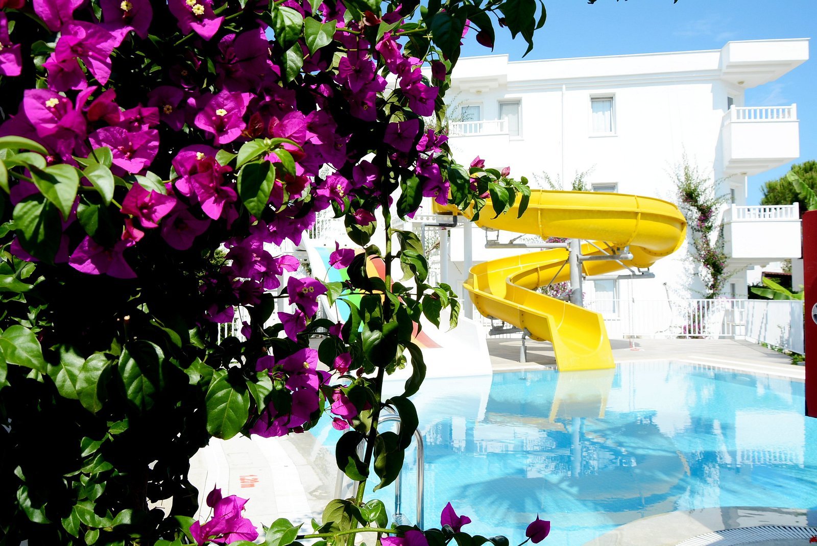 Bendis Beach Hotel photo 5