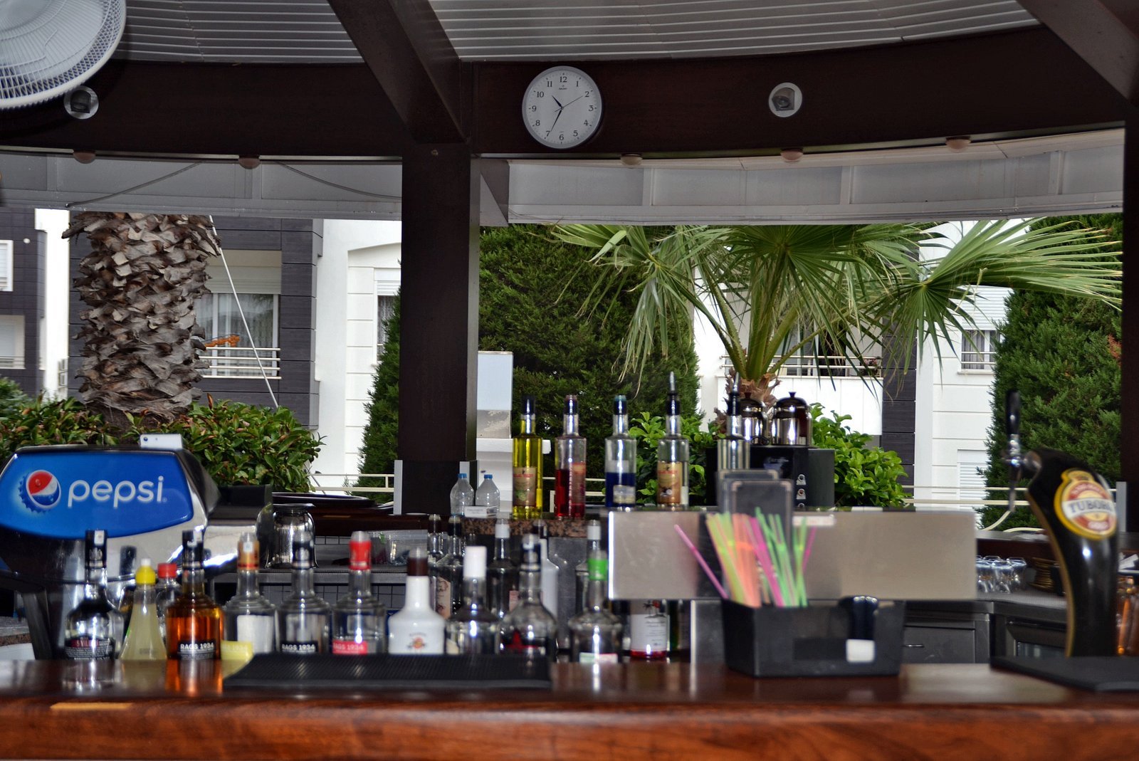 Hotel Ideal Pearl photo 8