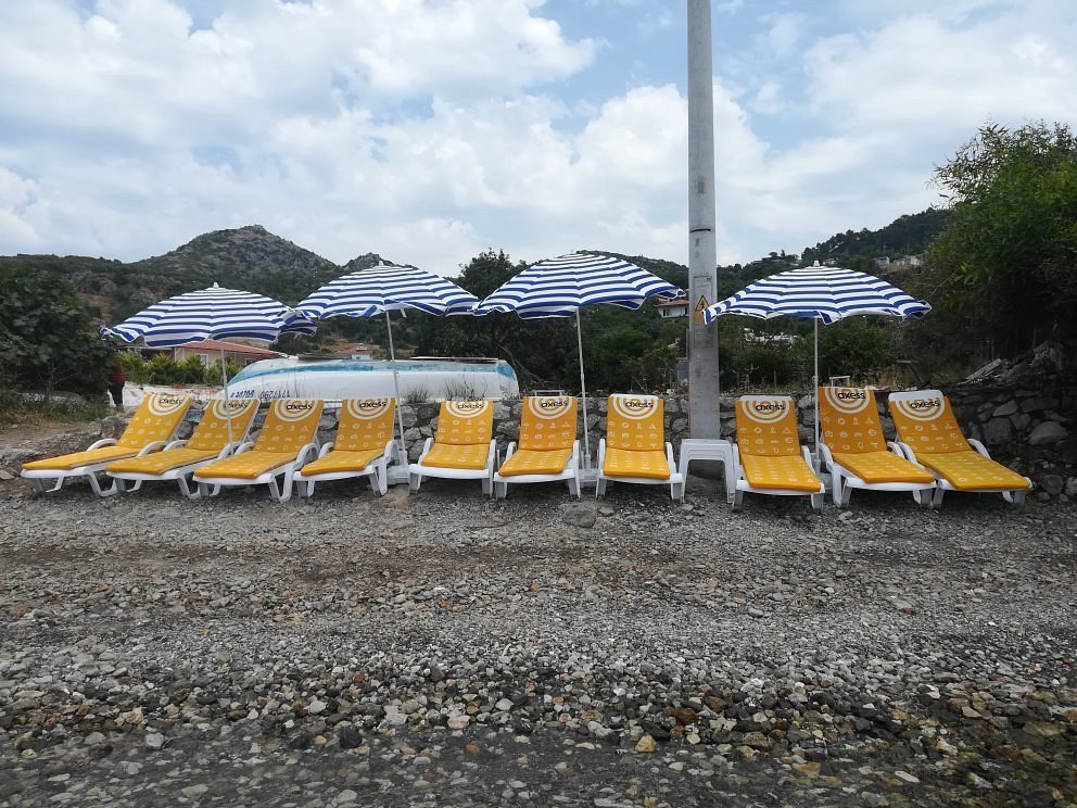 Rotam Sogut Pansiyon photo 3