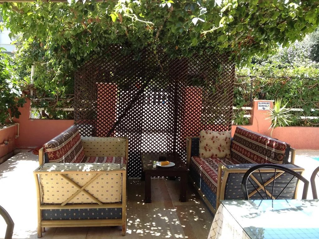 Flash Hotel photo 4