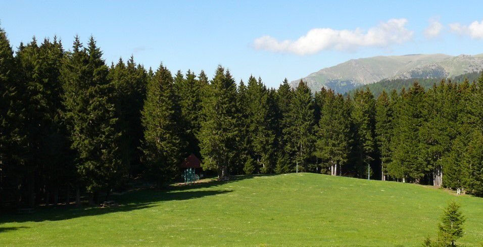 North Chalets Hotel photo 2