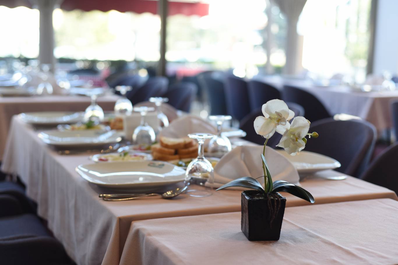 City Balıktaşı Hotel photo 3