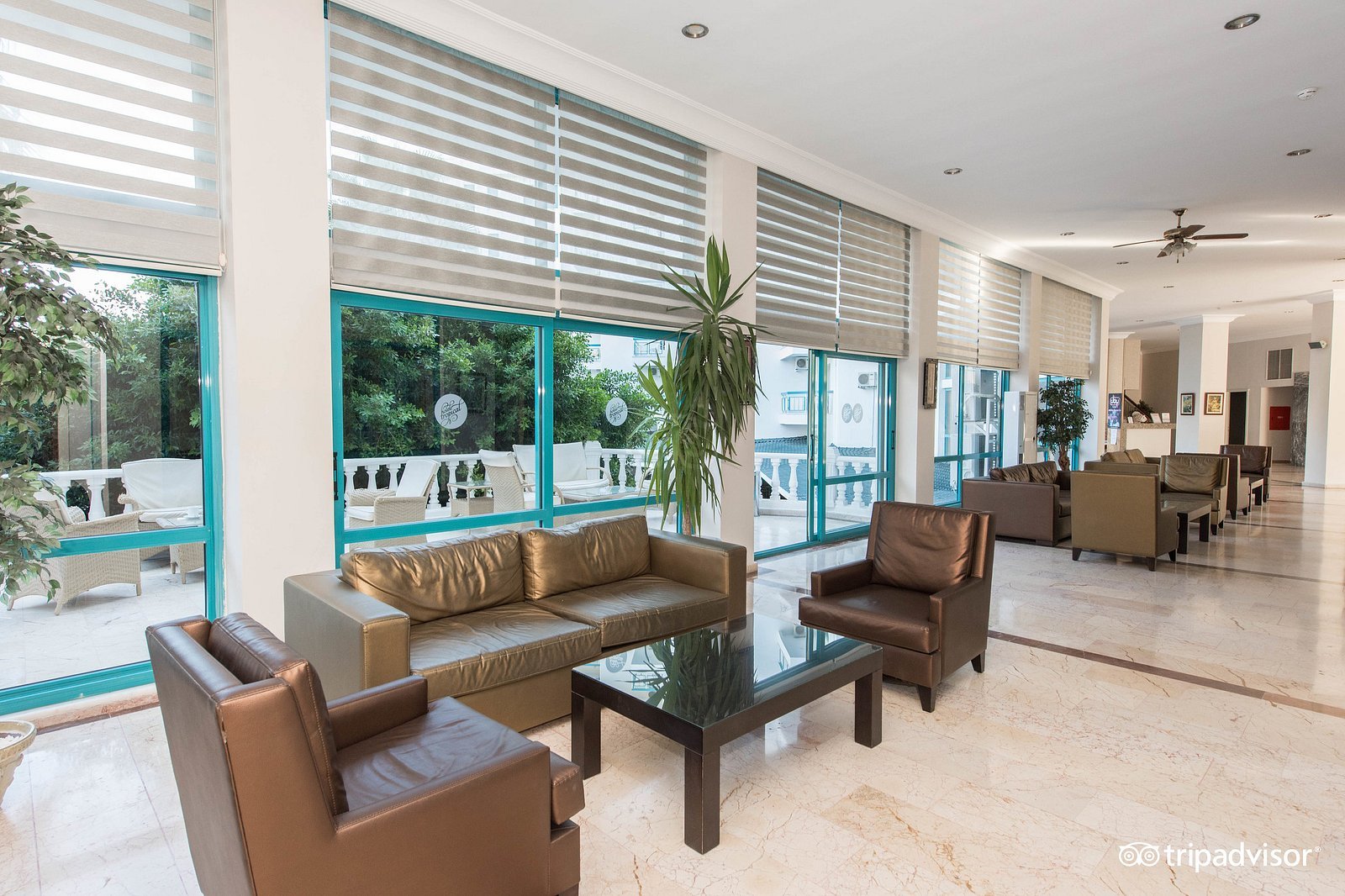 Tropical Beach Hotel photo 5