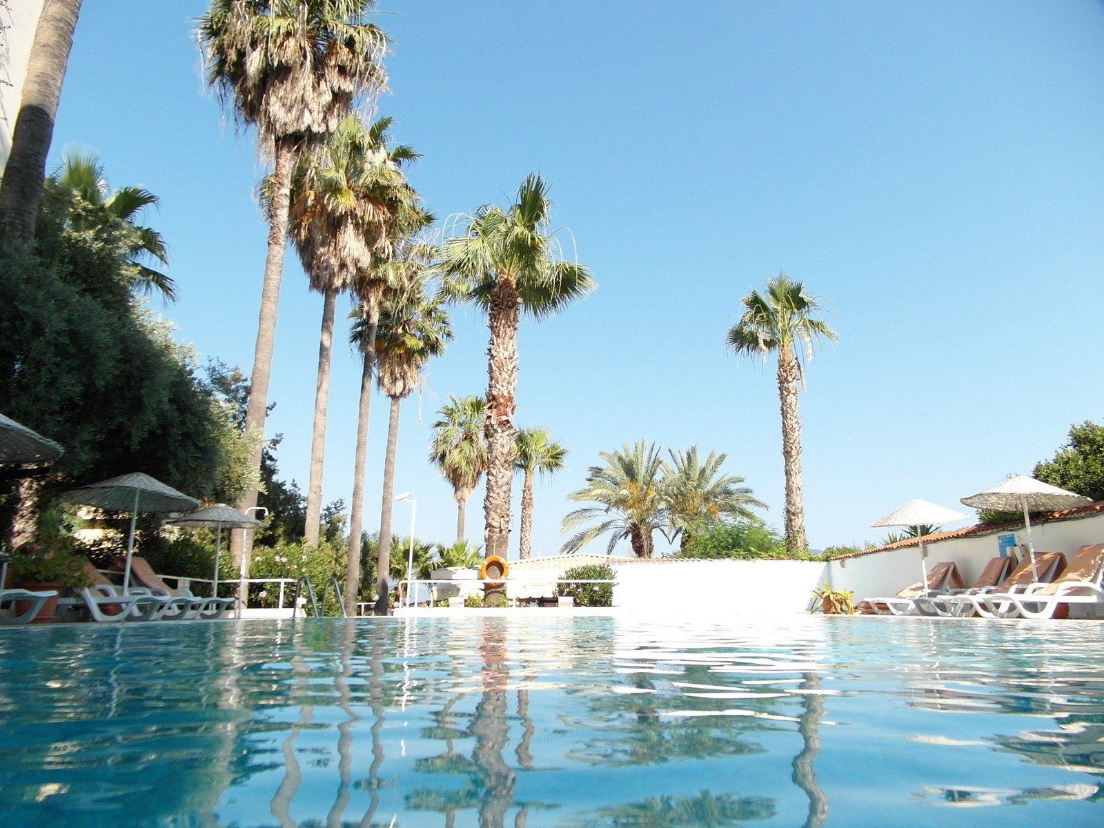 Amos Hotel photo 8