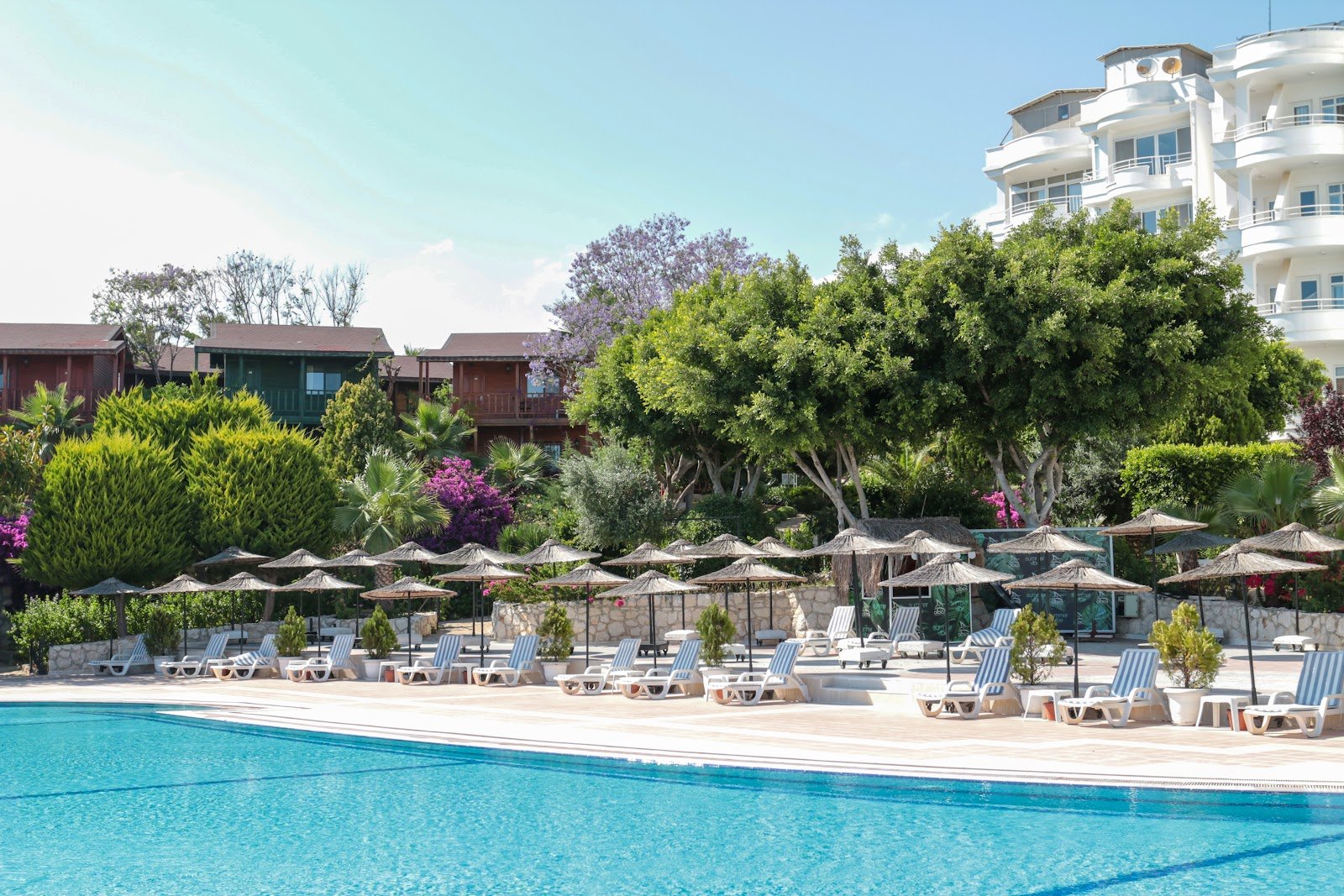 Olbios Marina Resort photo 4