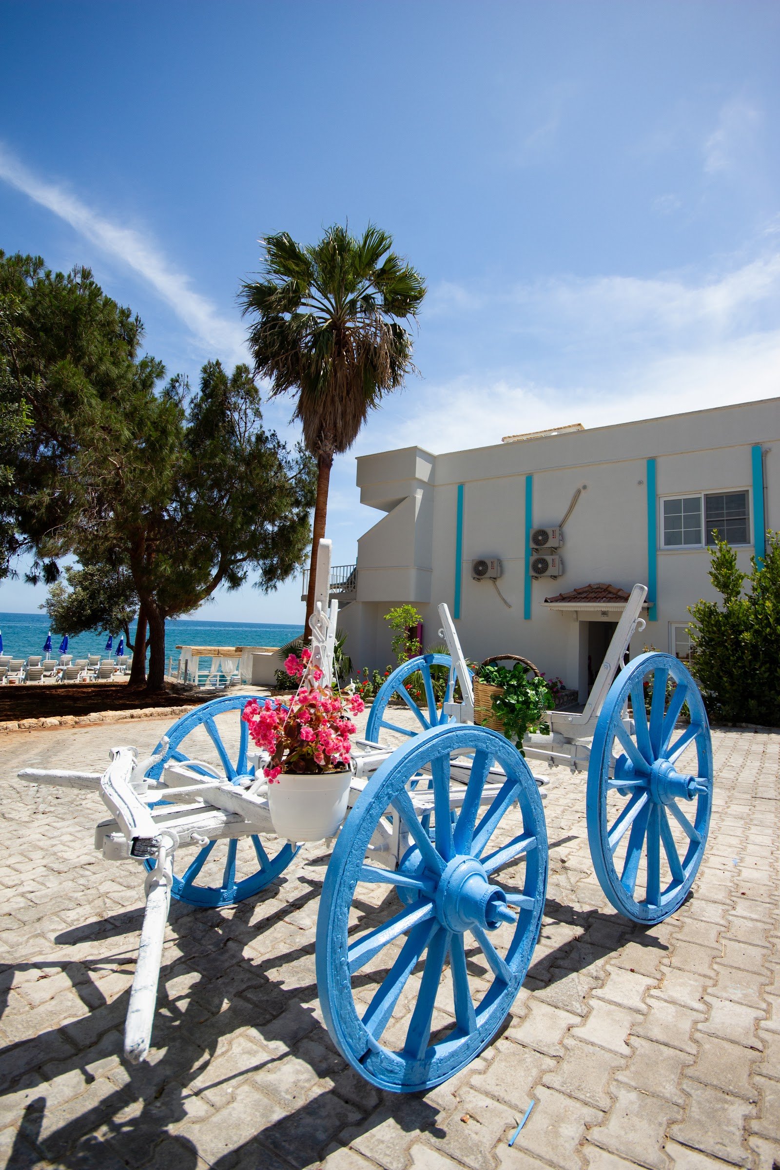 Mojo Otel Beach photo 2
