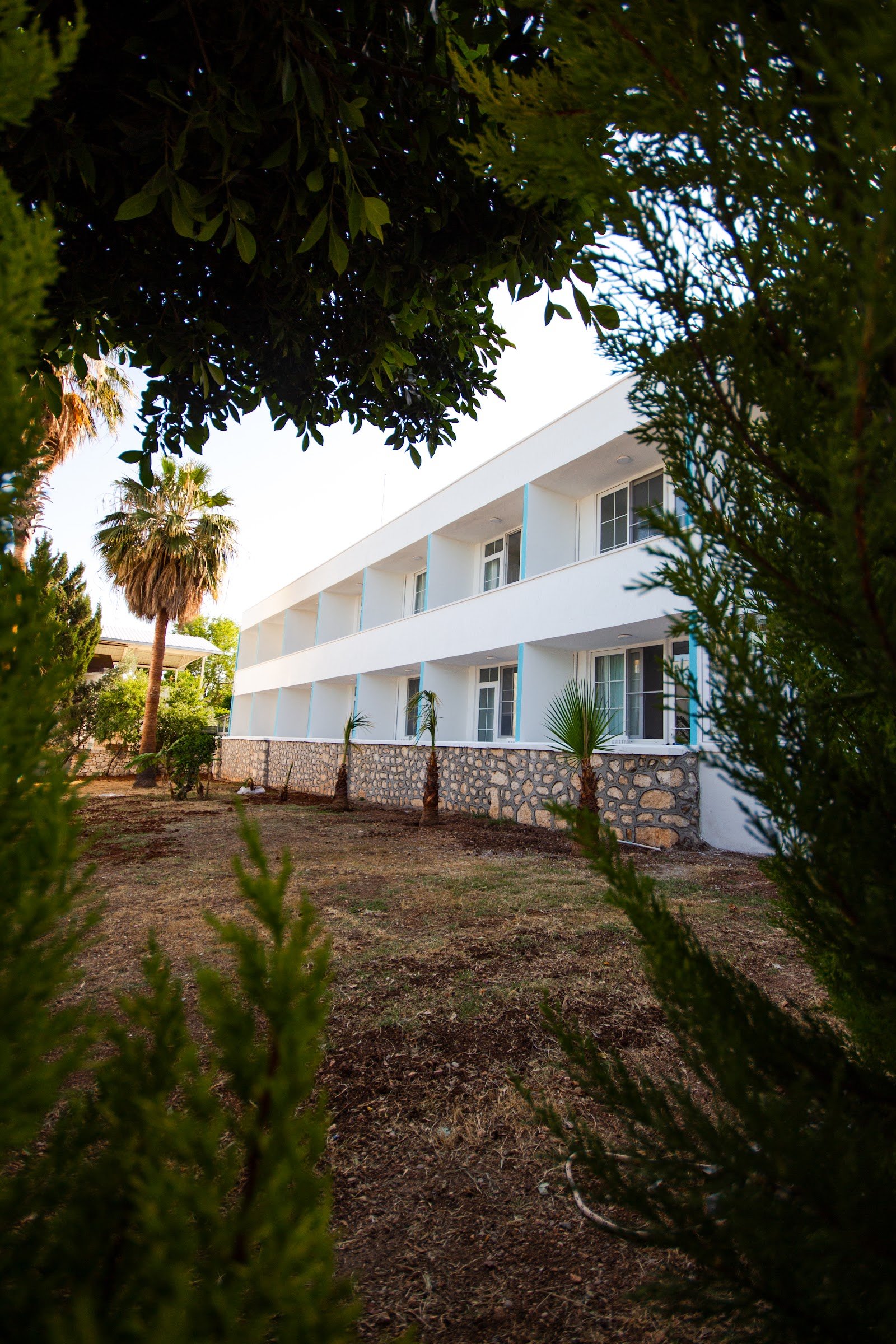 Mojo Otel Beach photo 3