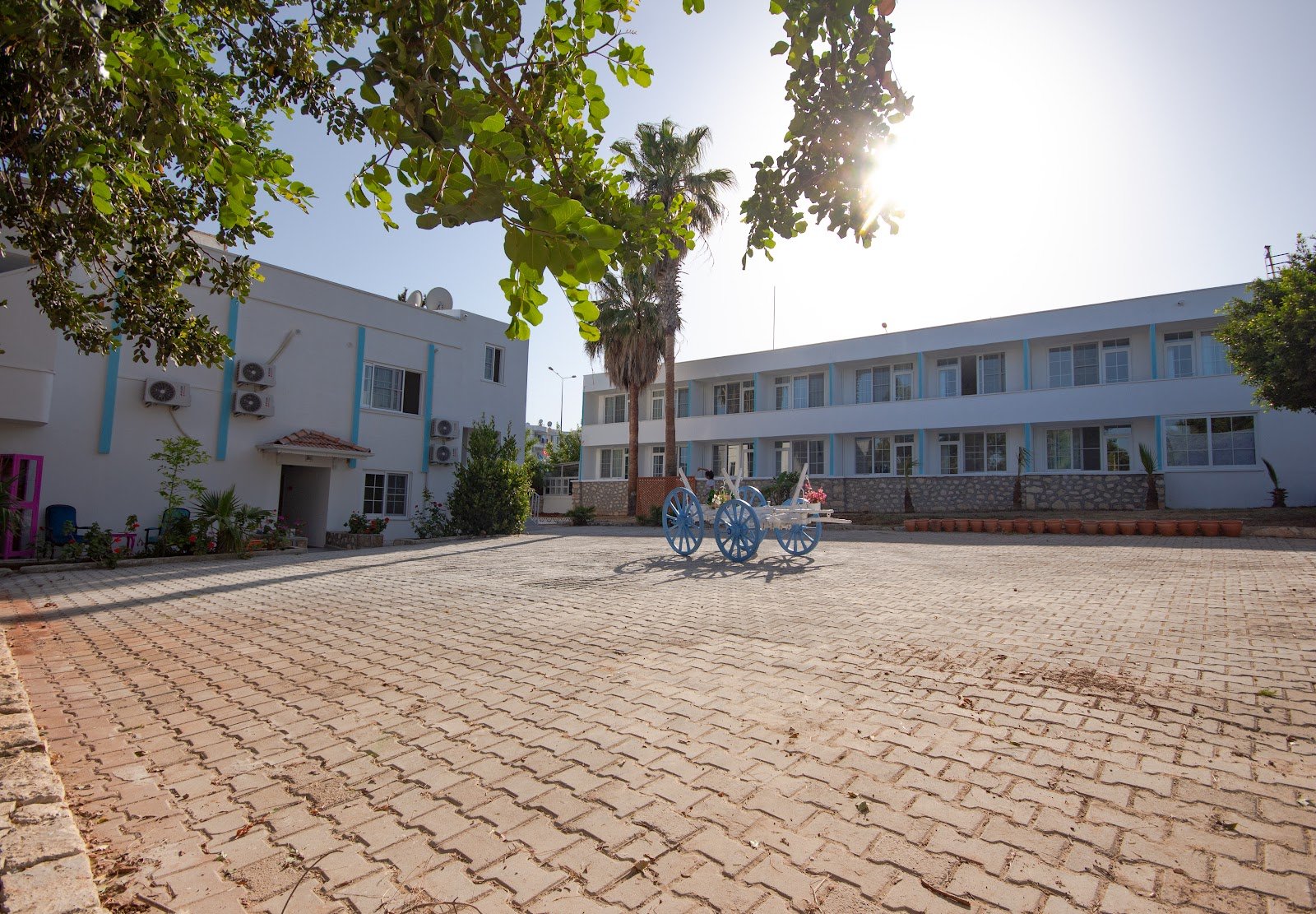 Mojo Otel Beach photo 5