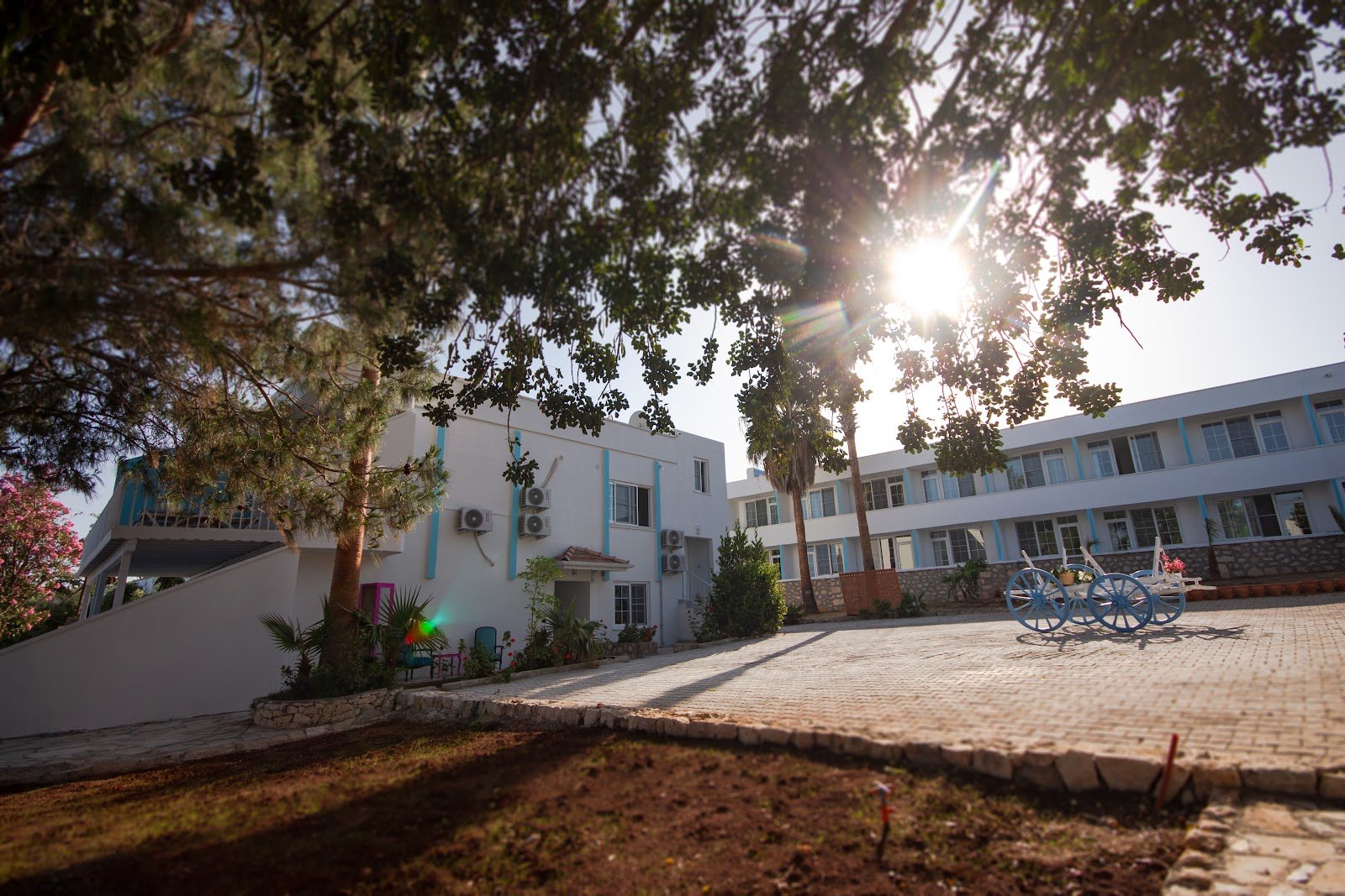 Mojo Otel Beach photo 6