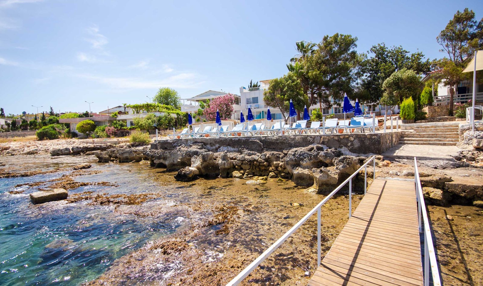 Mojo Otel Beach photo 8