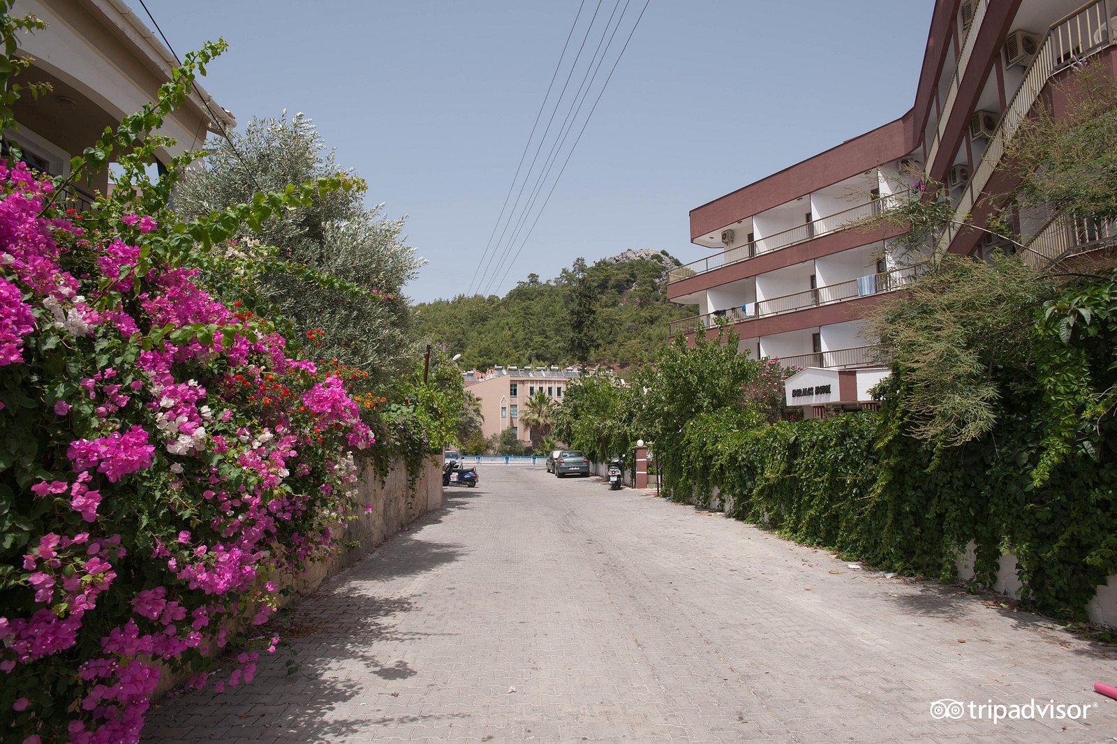 Hermes Hotel photo 2