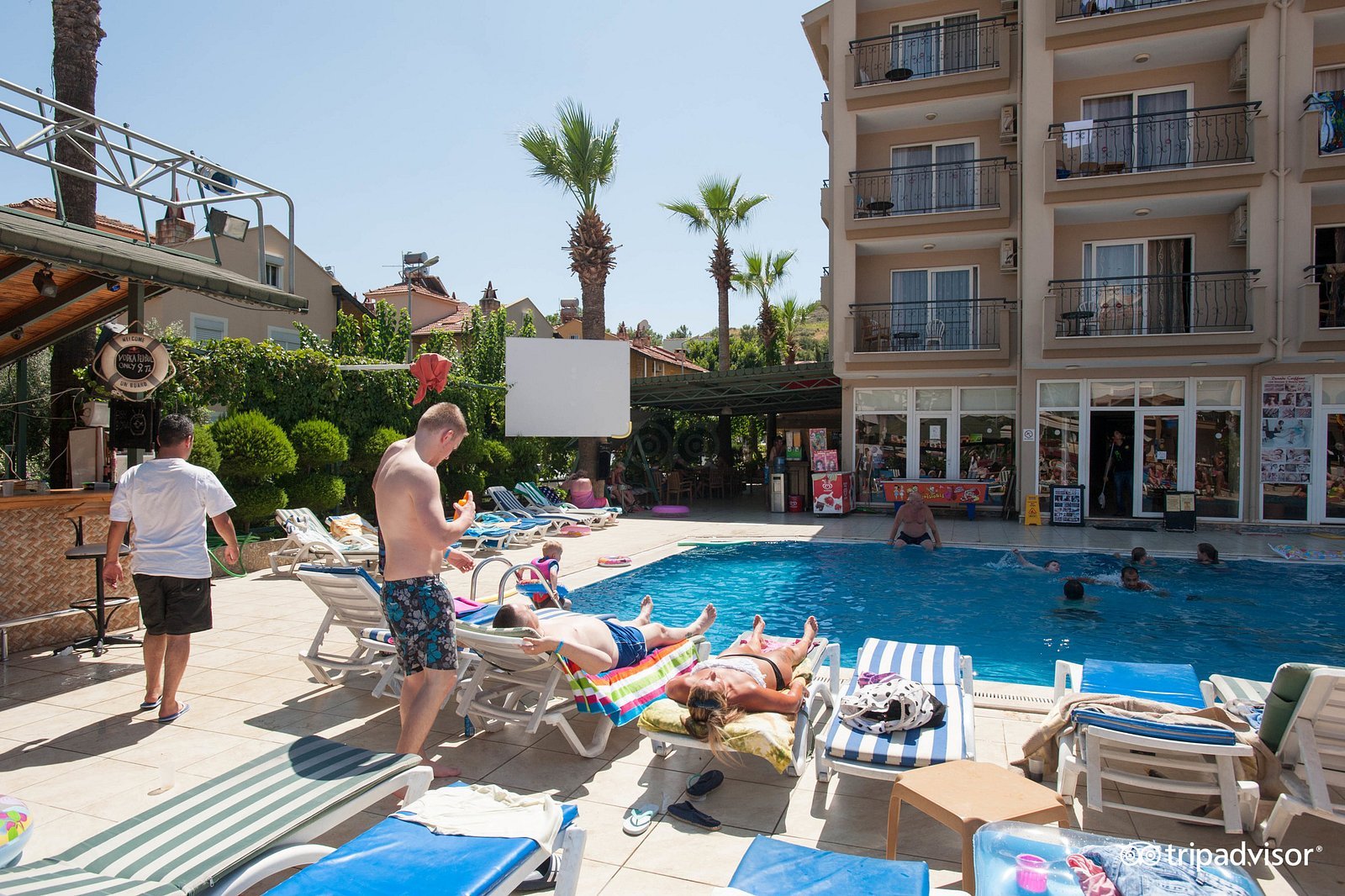 Club Dorado Hotel photo 8