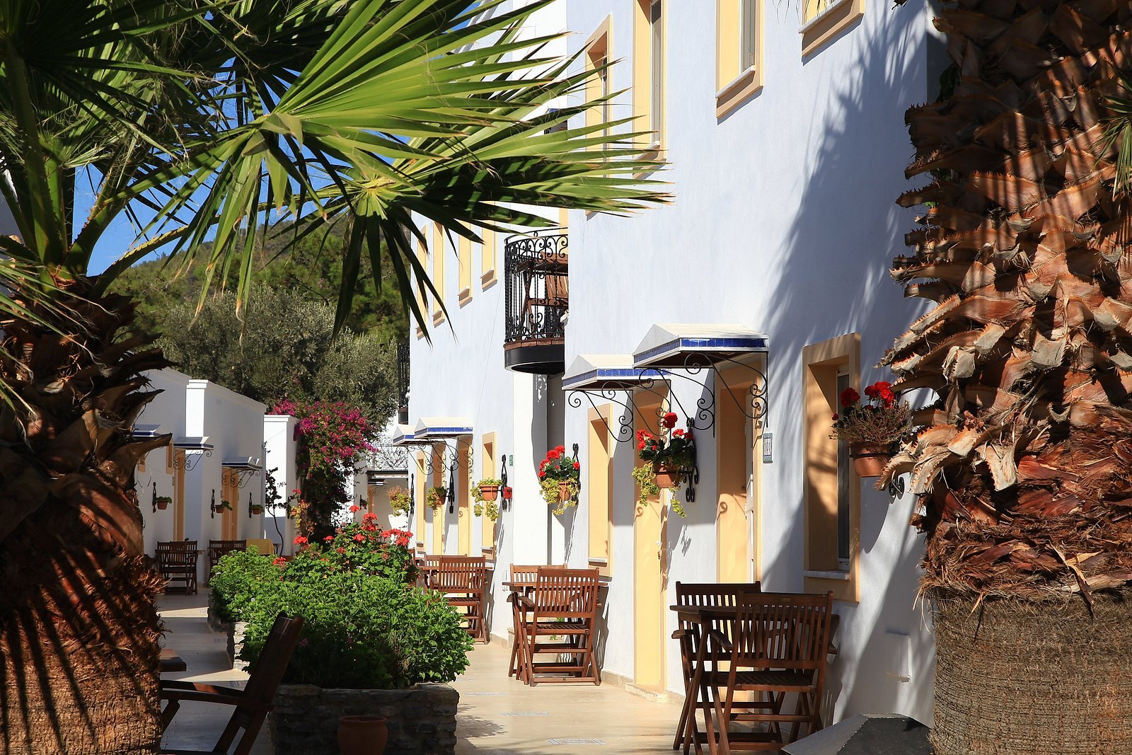 Manzara Boutique Hotel photo 3