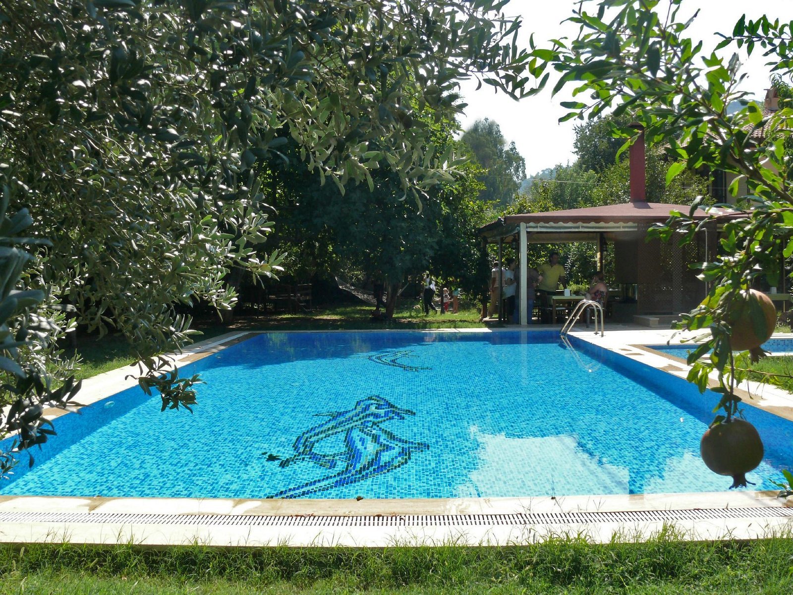 Defne Pansiyon photo 8