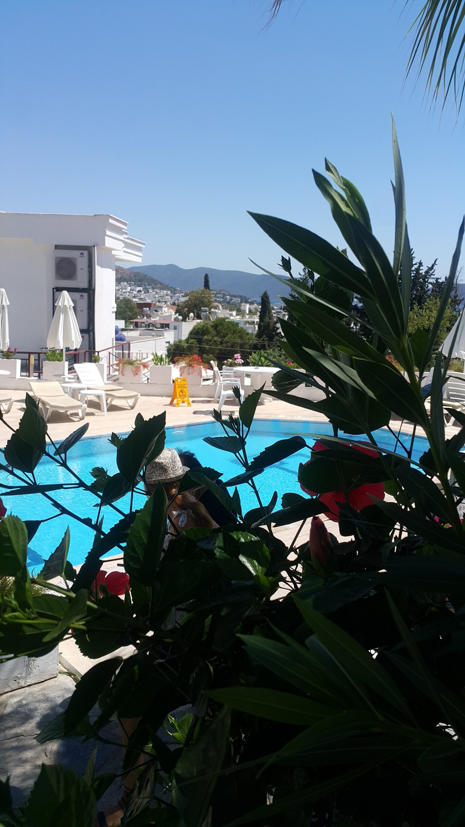 Dasis Apart Hotel photo 6