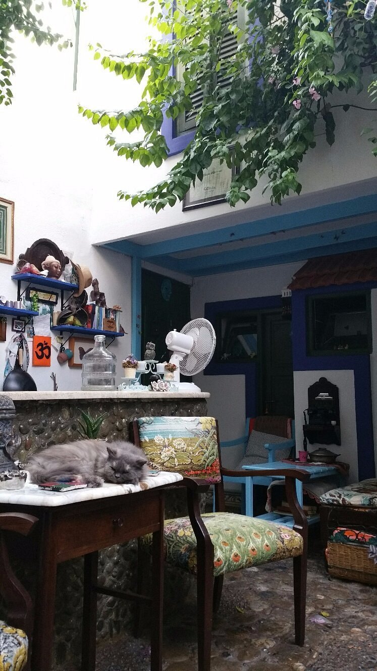 Anka Pension photo 4