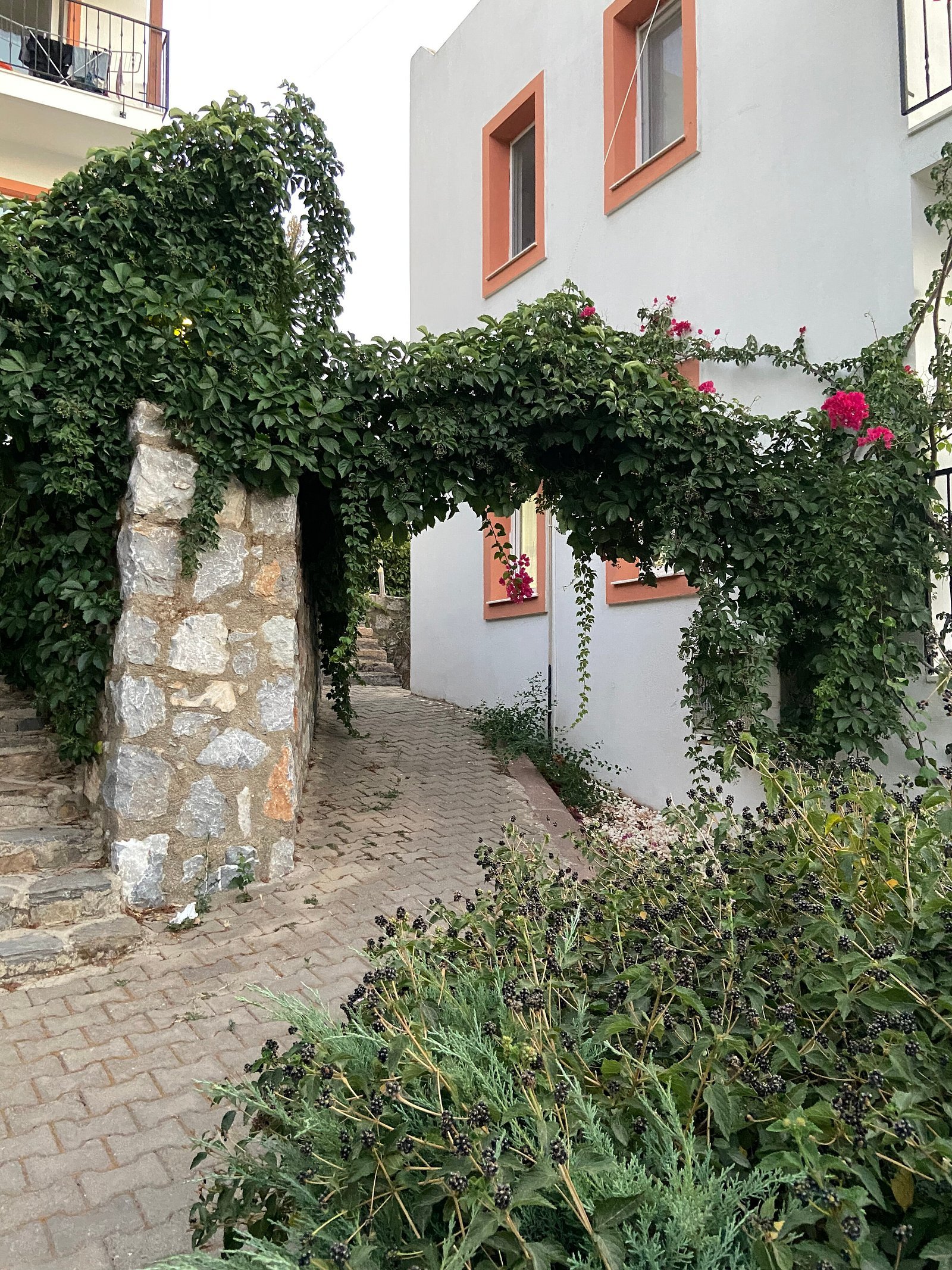 Rose Residence photo 2