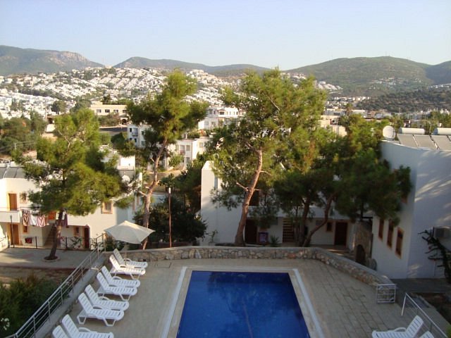 Rose Residence photo 5