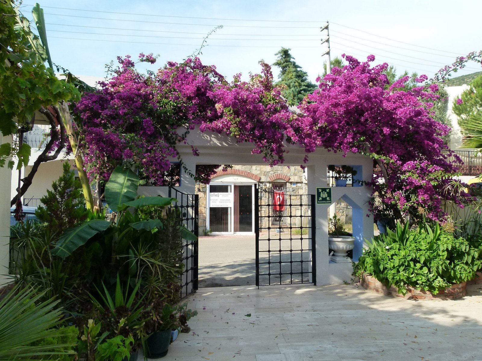 Merve Apartments photo 3