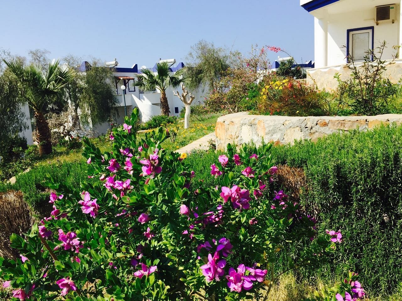 My House Bodrum Holiday Village photo 3