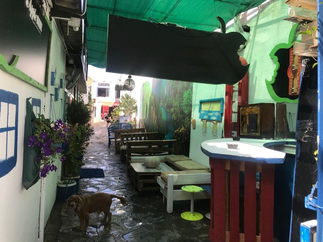 Gozde Deniz Boutique Hotel photo 4