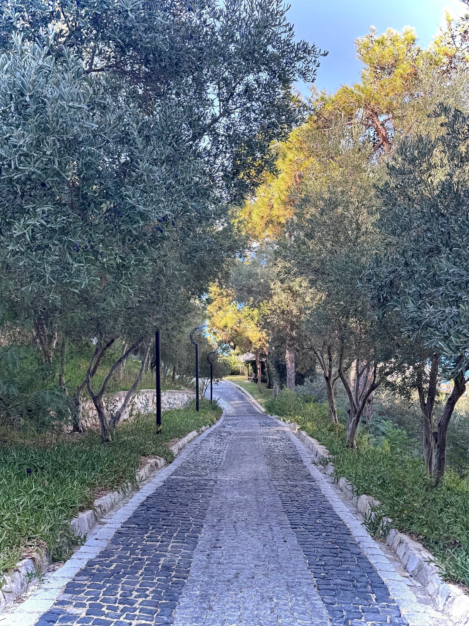Duja Bodrum photo 5