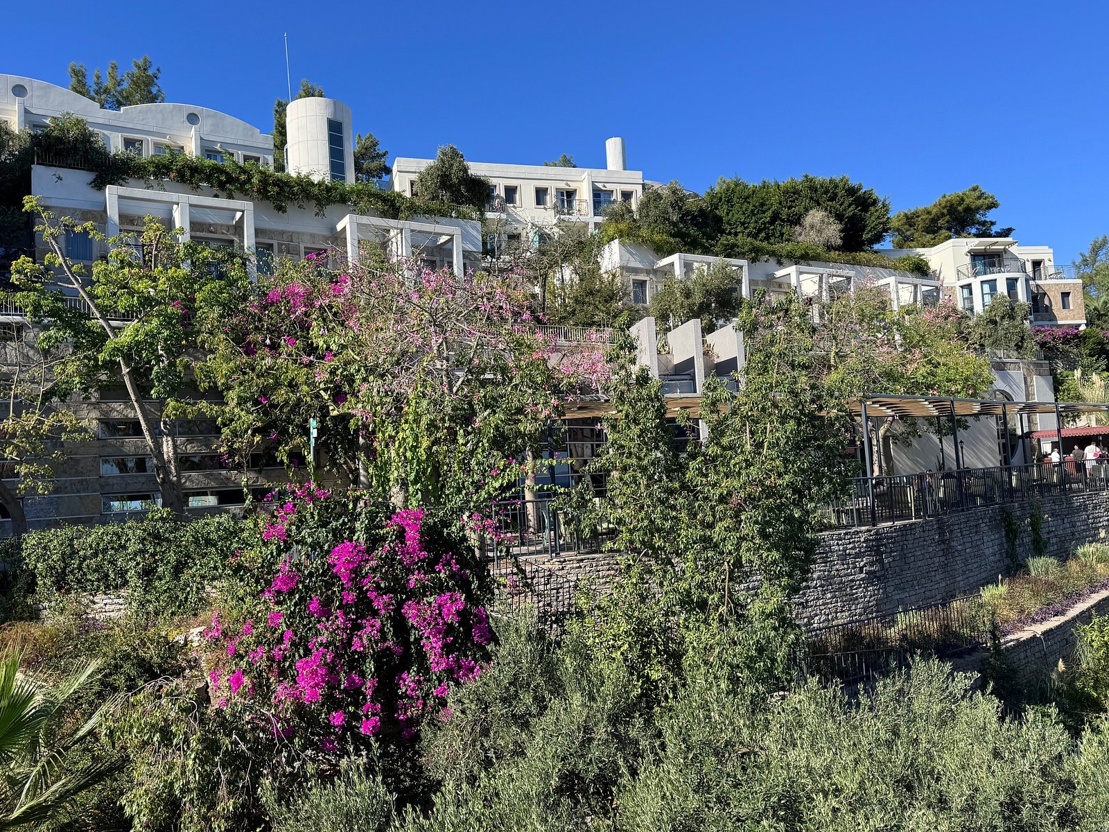 Duja Bodrum photo 4
