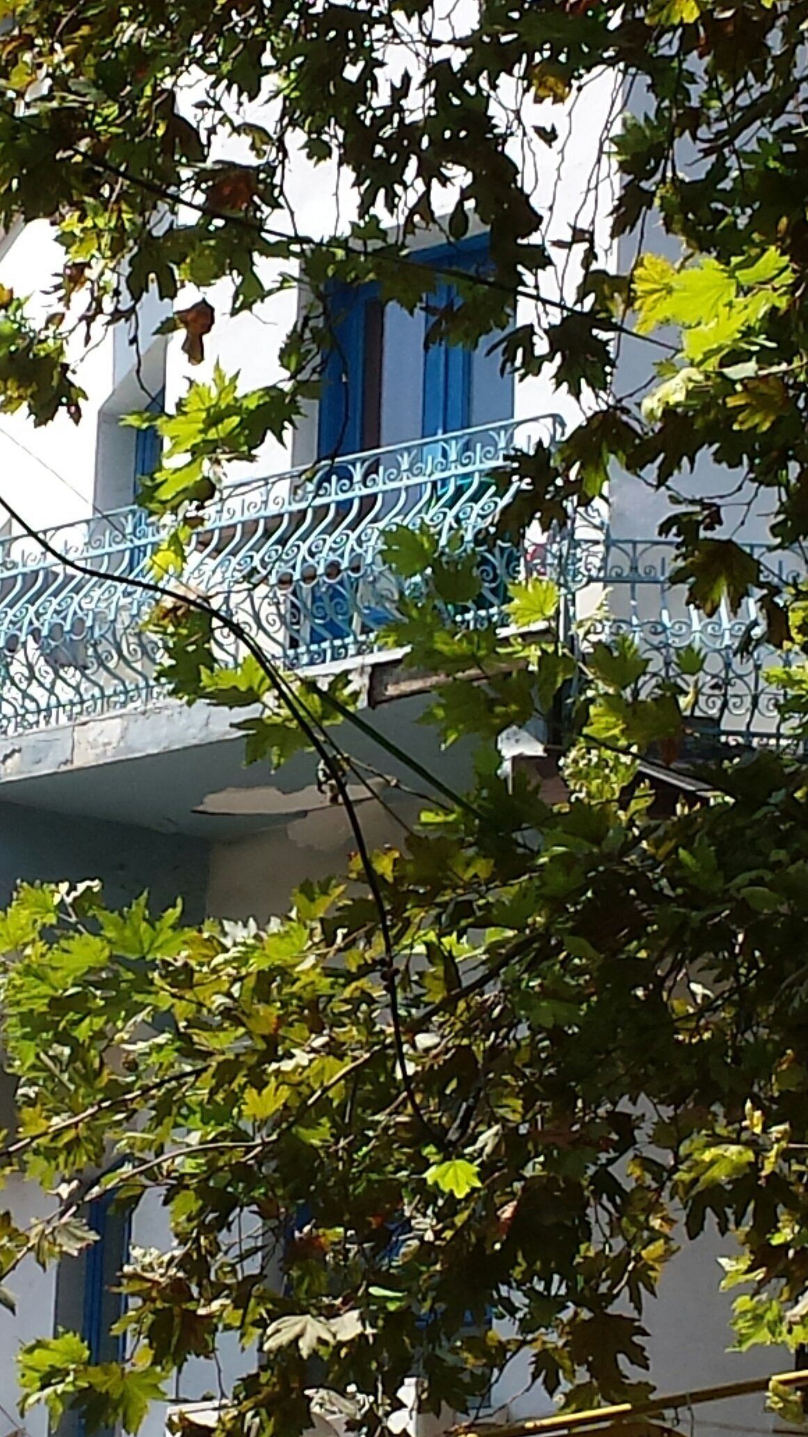 Akdeniz Apart Hotel photo 7