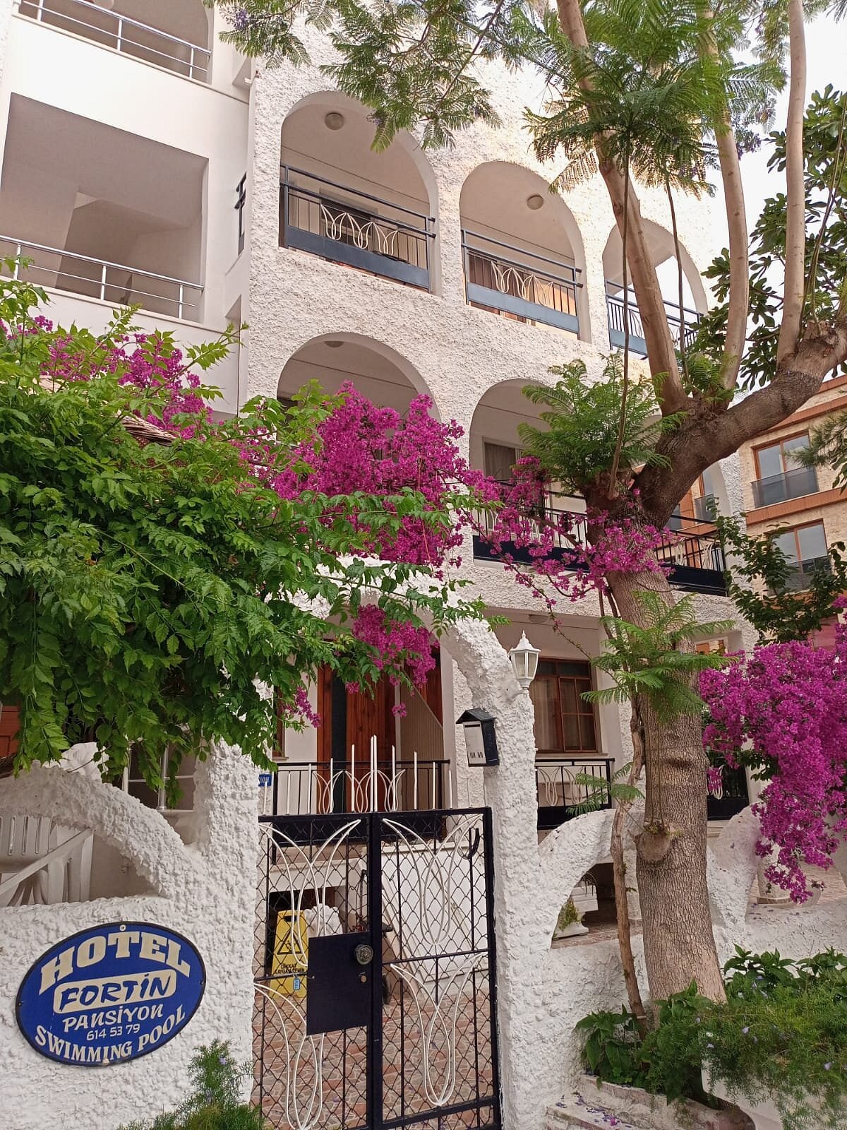 Fortin Hotel photo 2