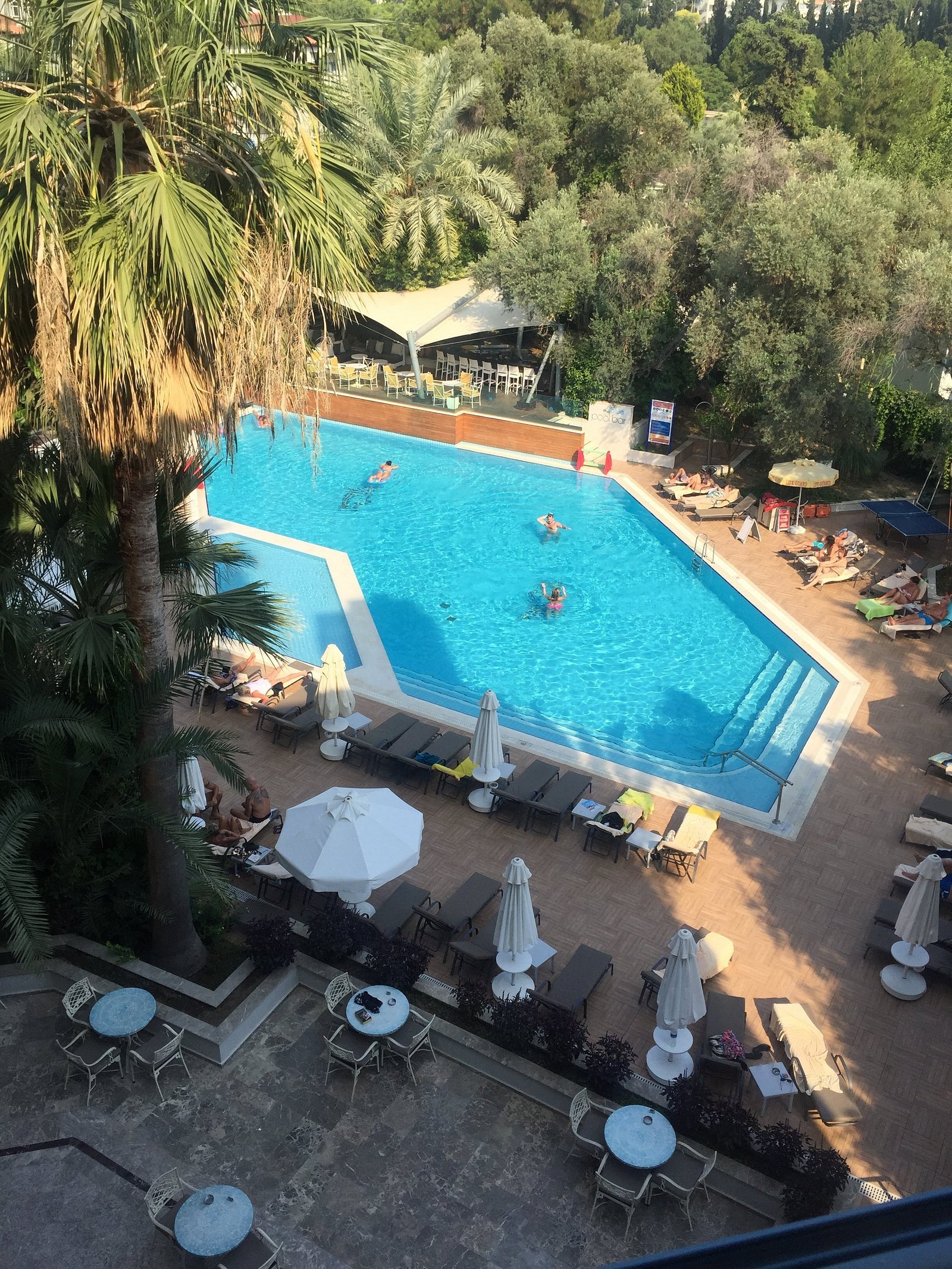 Paloma Marina Suites photo 10