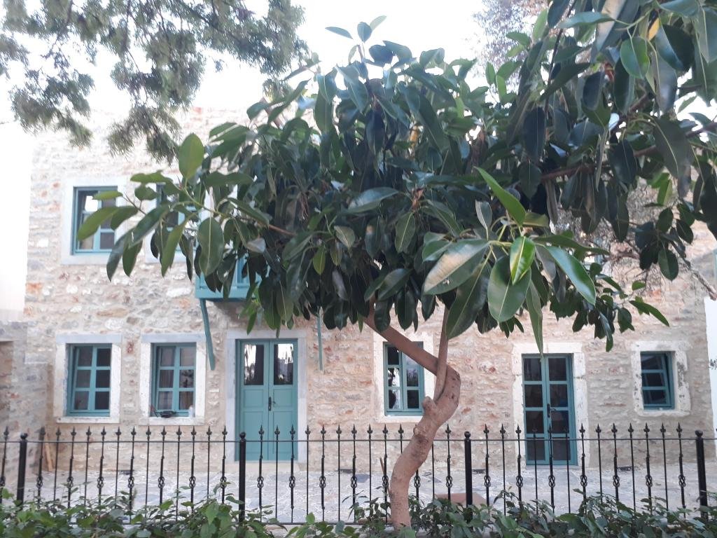 Oalis Boutique Hotel — Kumbahçe, Bodrum