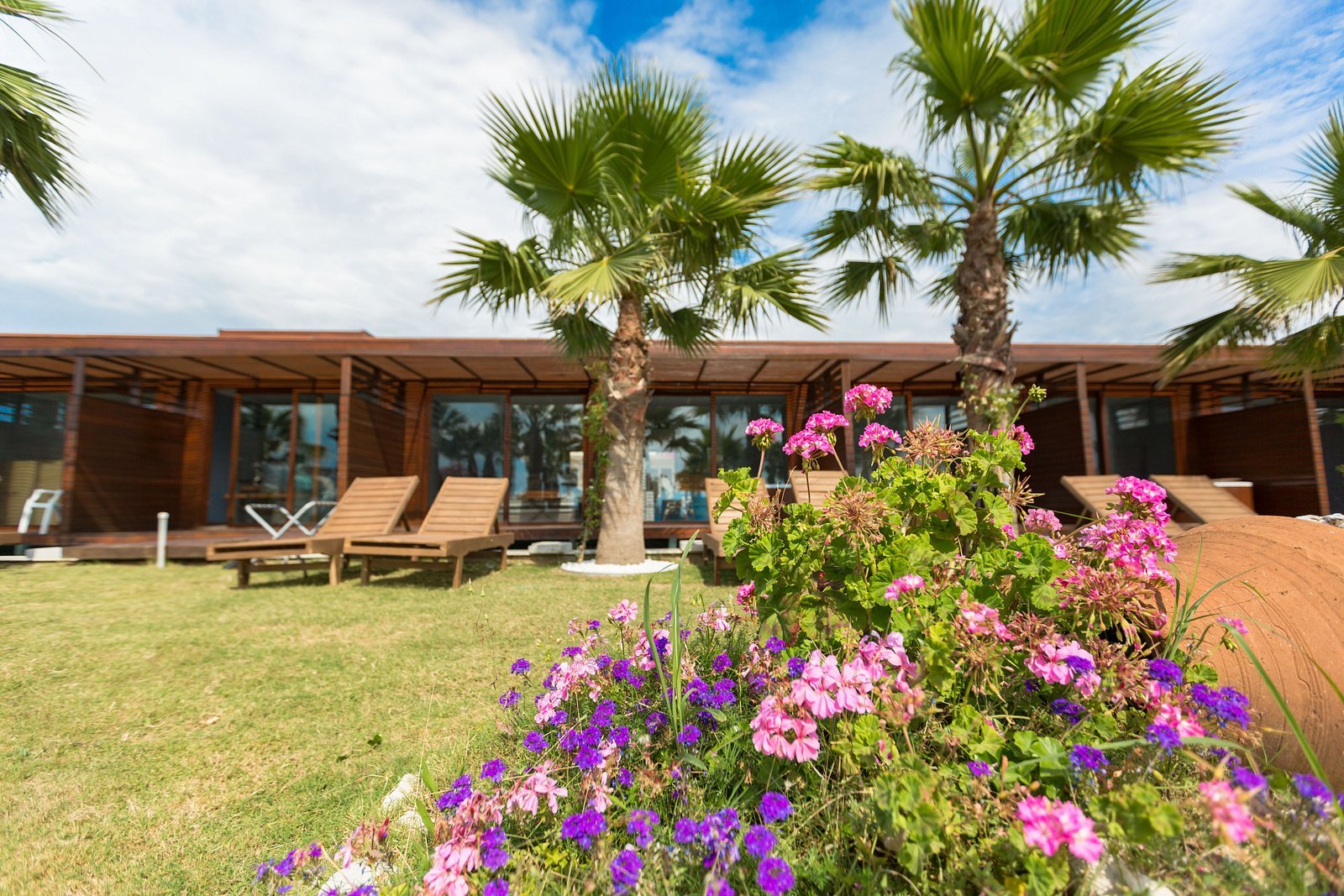 Risus Beach Resort Hotel photo 2