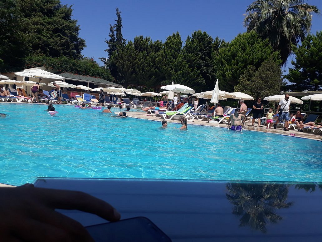 Marbel Hotel By Palm Wings photo 3