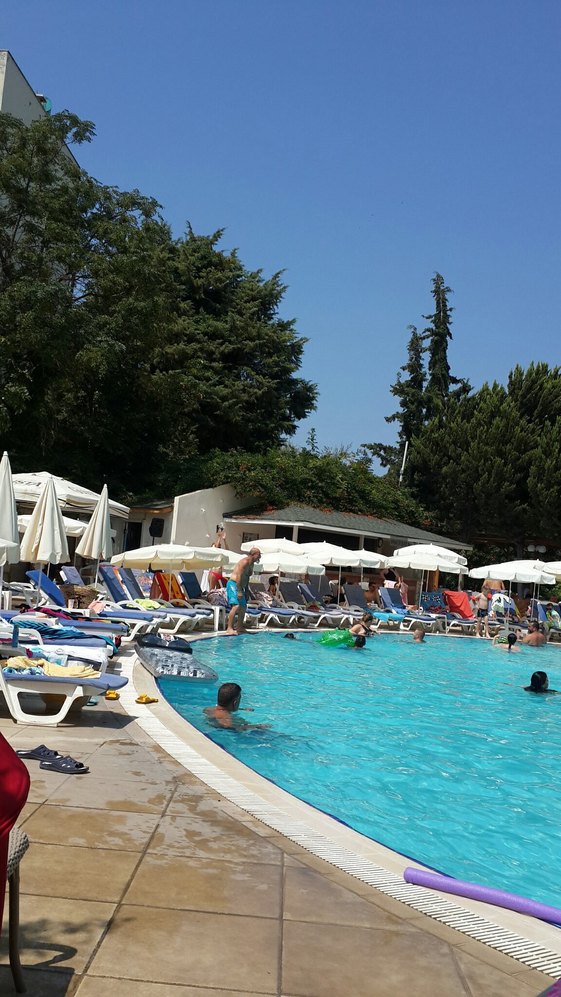 Marbel Hotel By Palm Wings photo 8