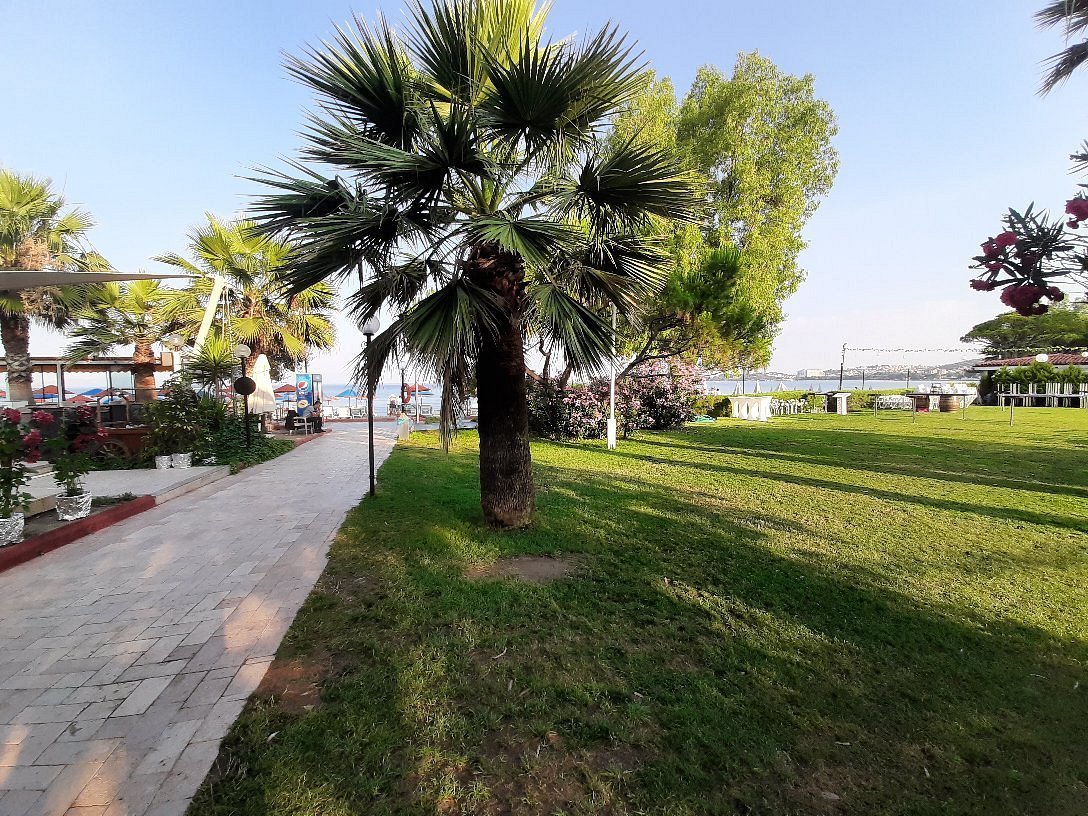 Batihan Beach Resort & Spa photo 5