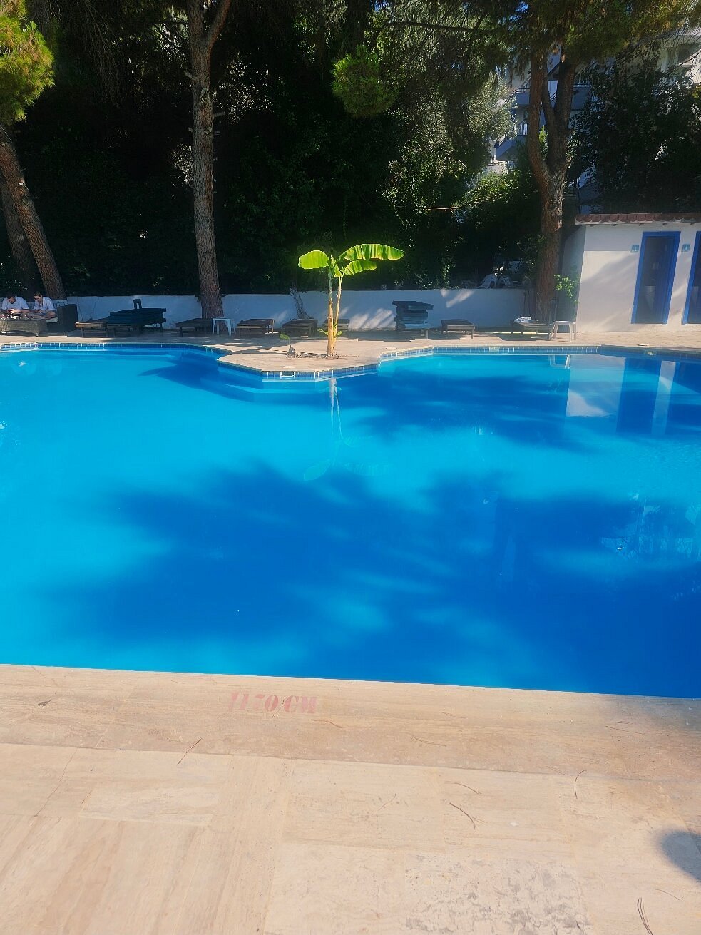 Risus Garden Marina Hotel photo 7