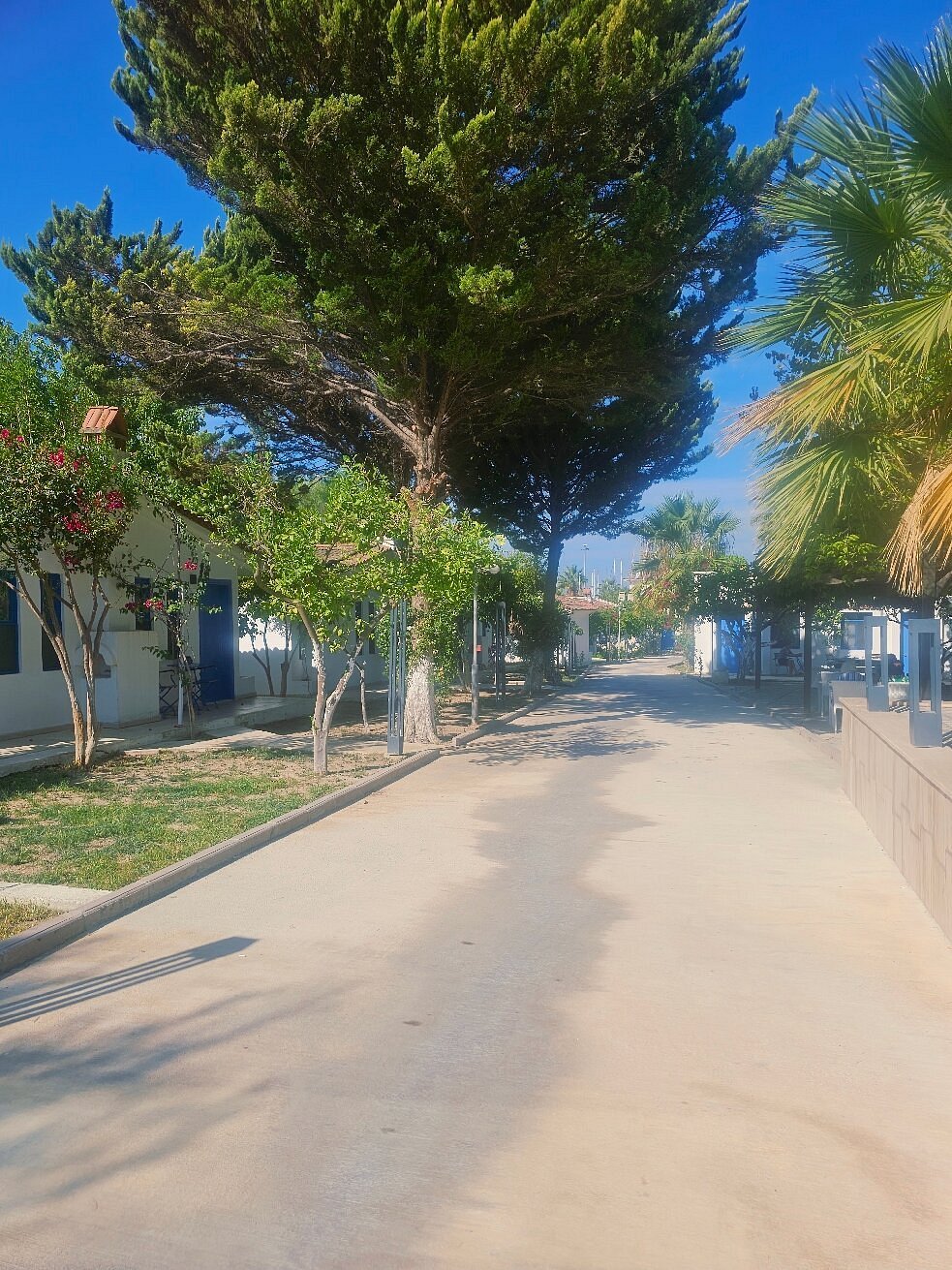 Risus Garden Marina Hotel photo 3