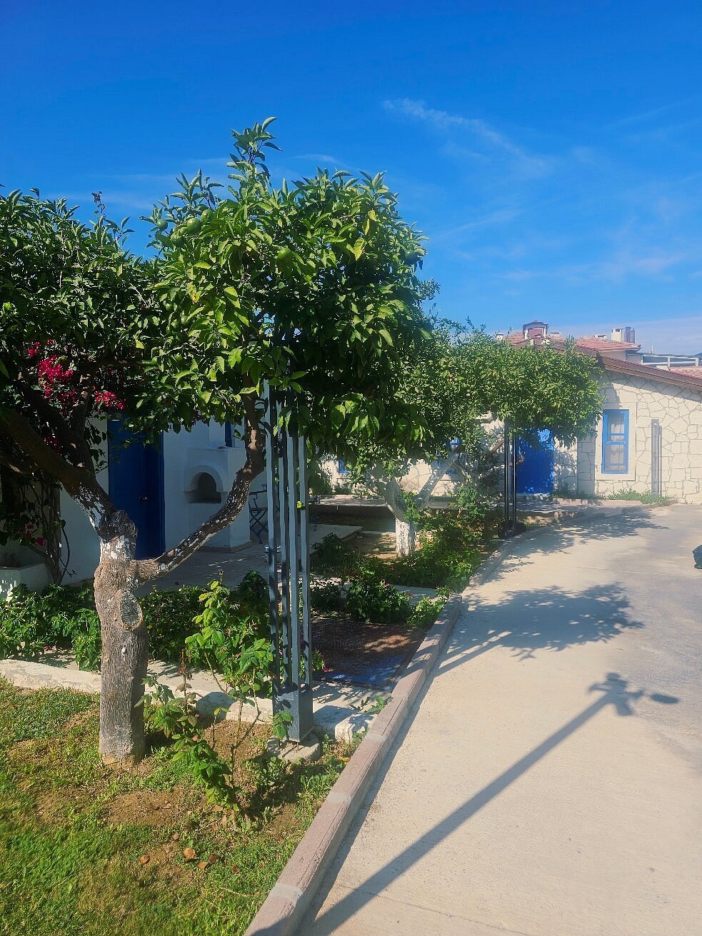 Risus Garden Marina Hotel photo 5