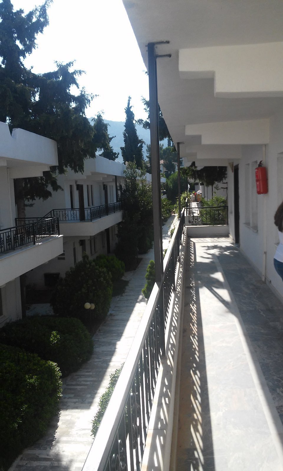 The Palm Club Apart Otel photo 5