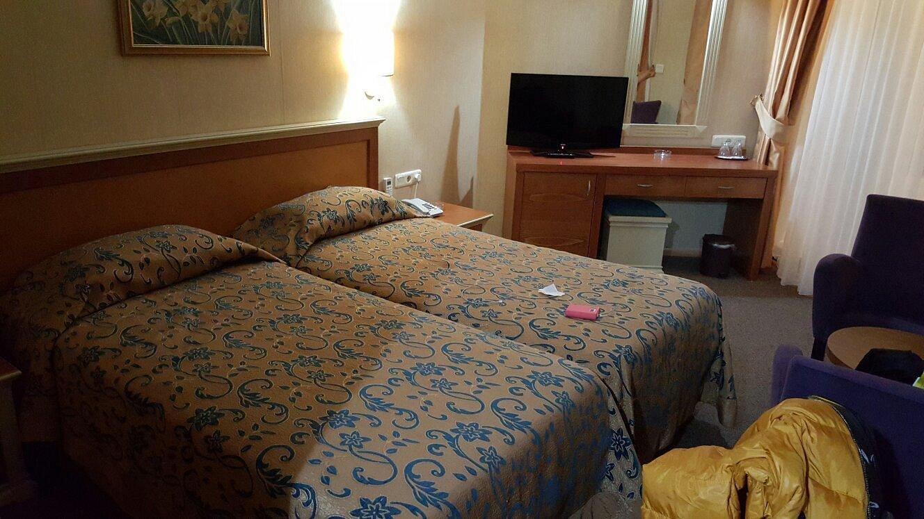 Palm Hotel photo 11