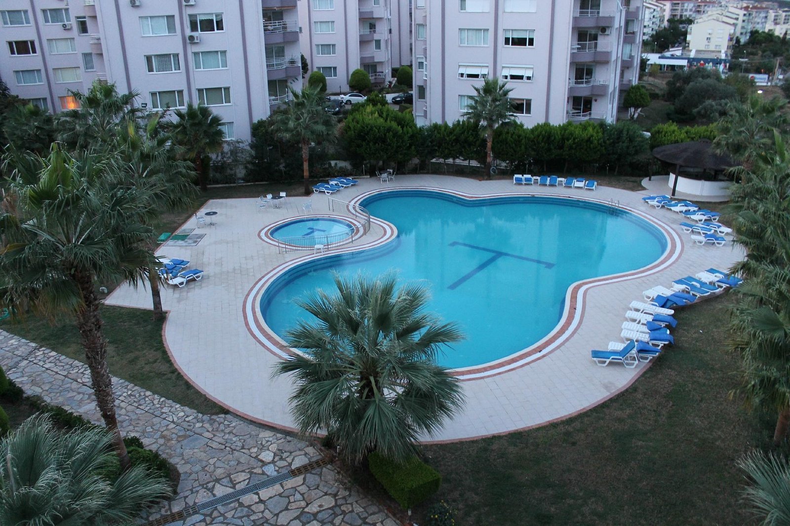 Palm Hotel photo 7