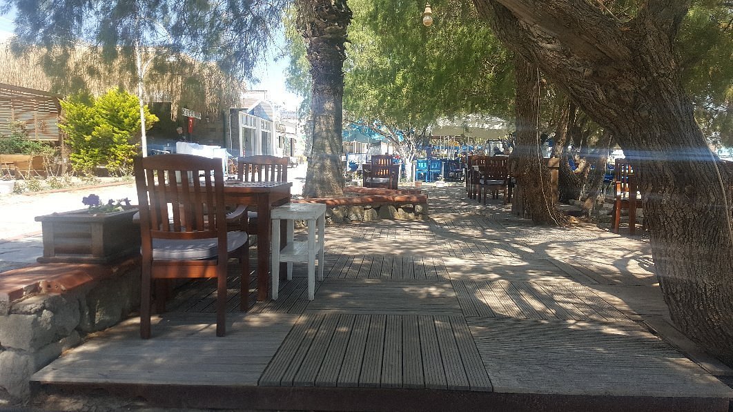 Meggs Bodrum Beach Restaurant & Hotel photo 5