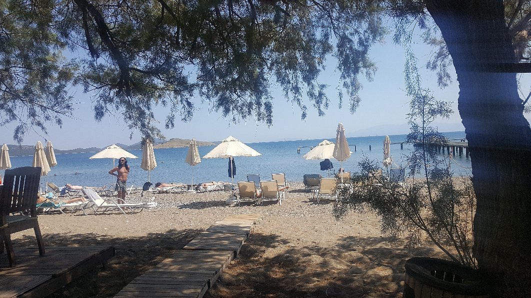 Meggs Bodrum Beach Restaurant & Hotel photo 3