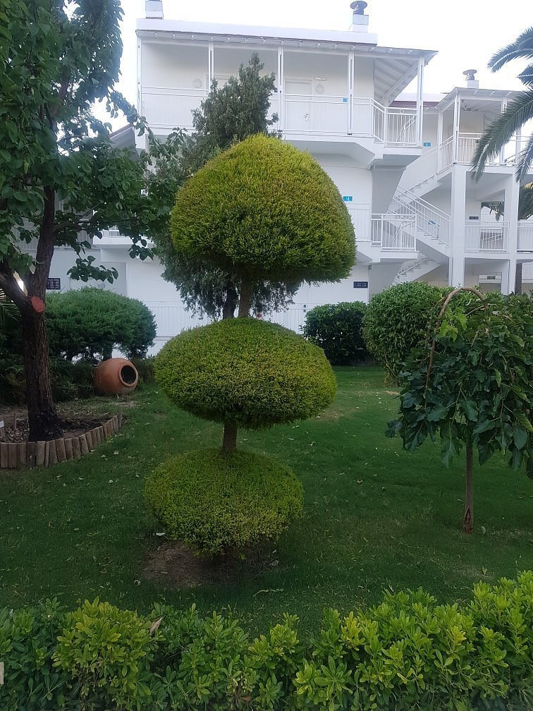 Le Bleu Hotel & Resort Kusadasi - Ultra All Inclusive photo 6