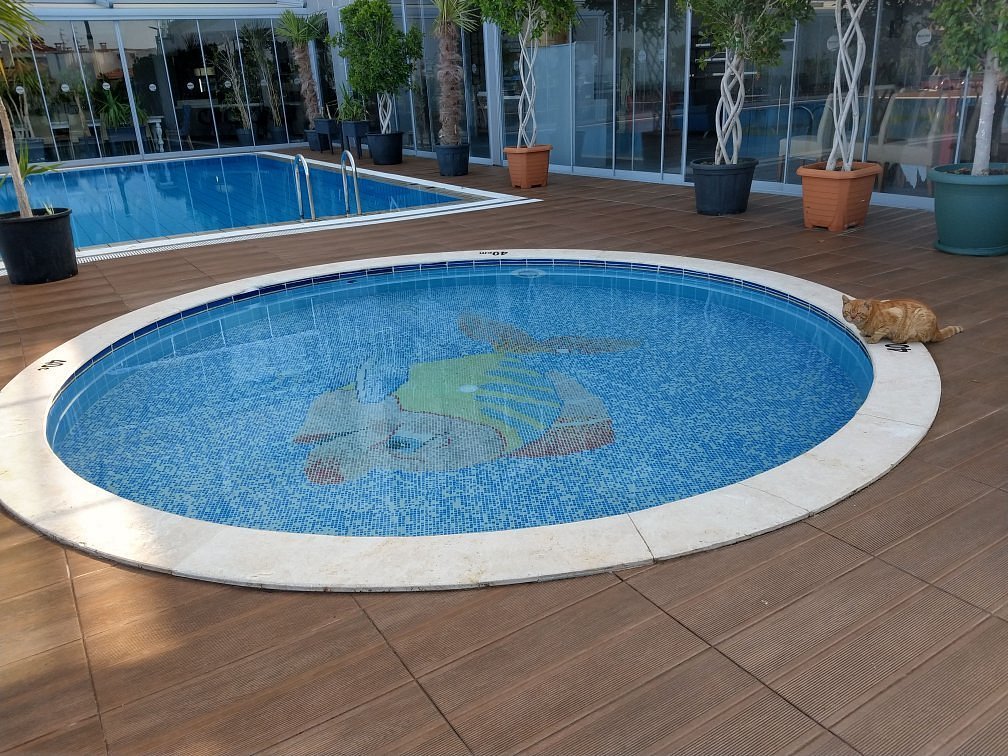 Marina Hotel photo 12