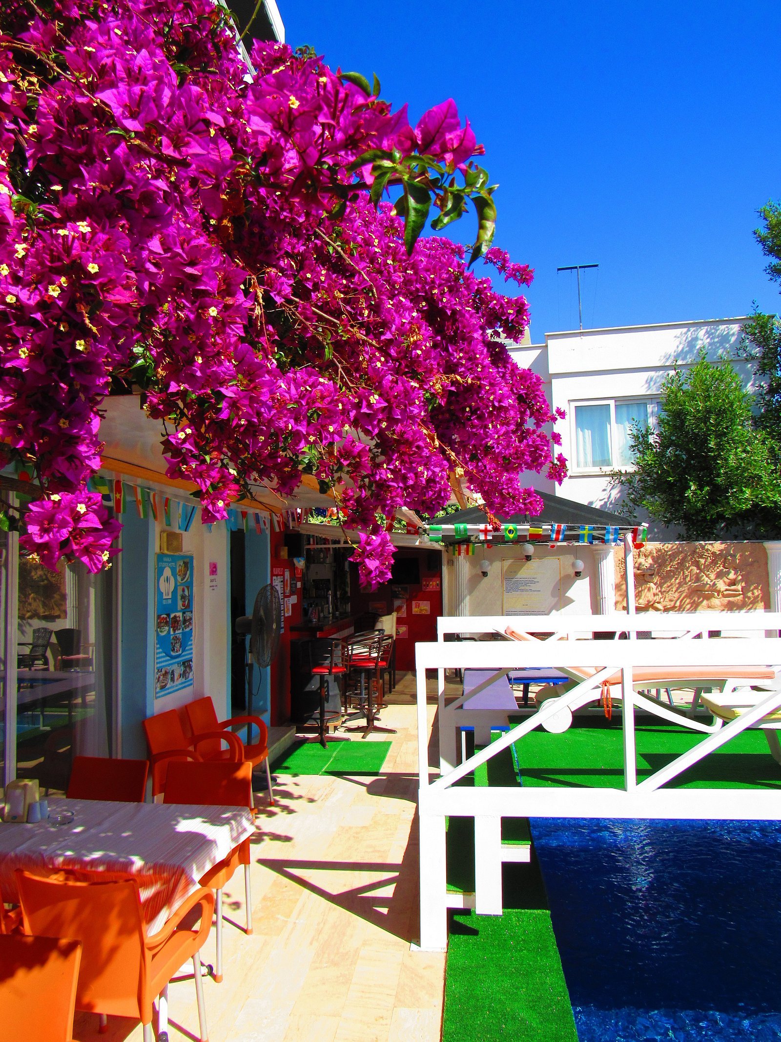 Kavala Hotel Bodrum photo 4