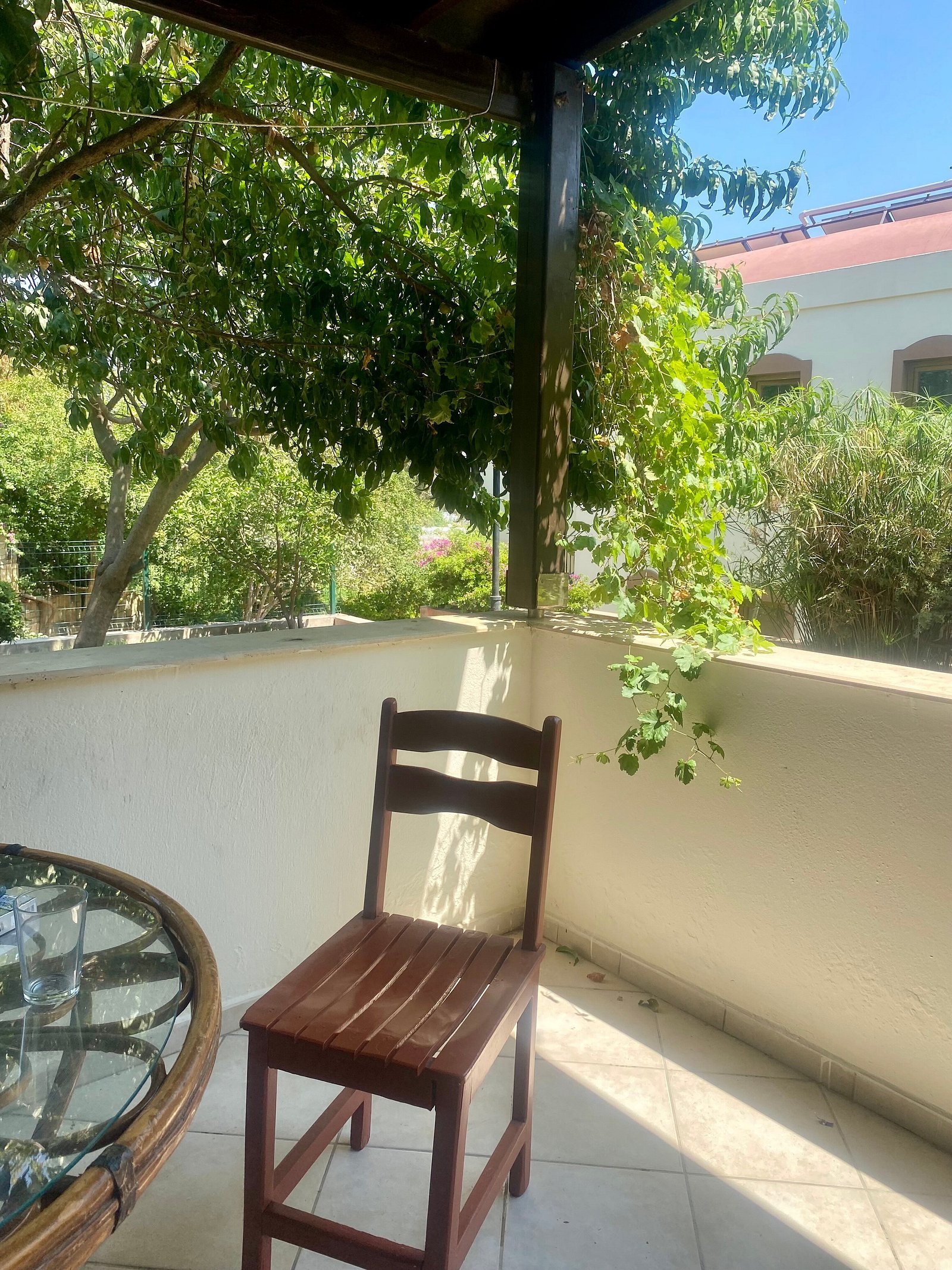 Zera Bodrum photo 15