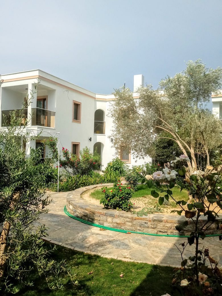 Hadi Apartments photo 3